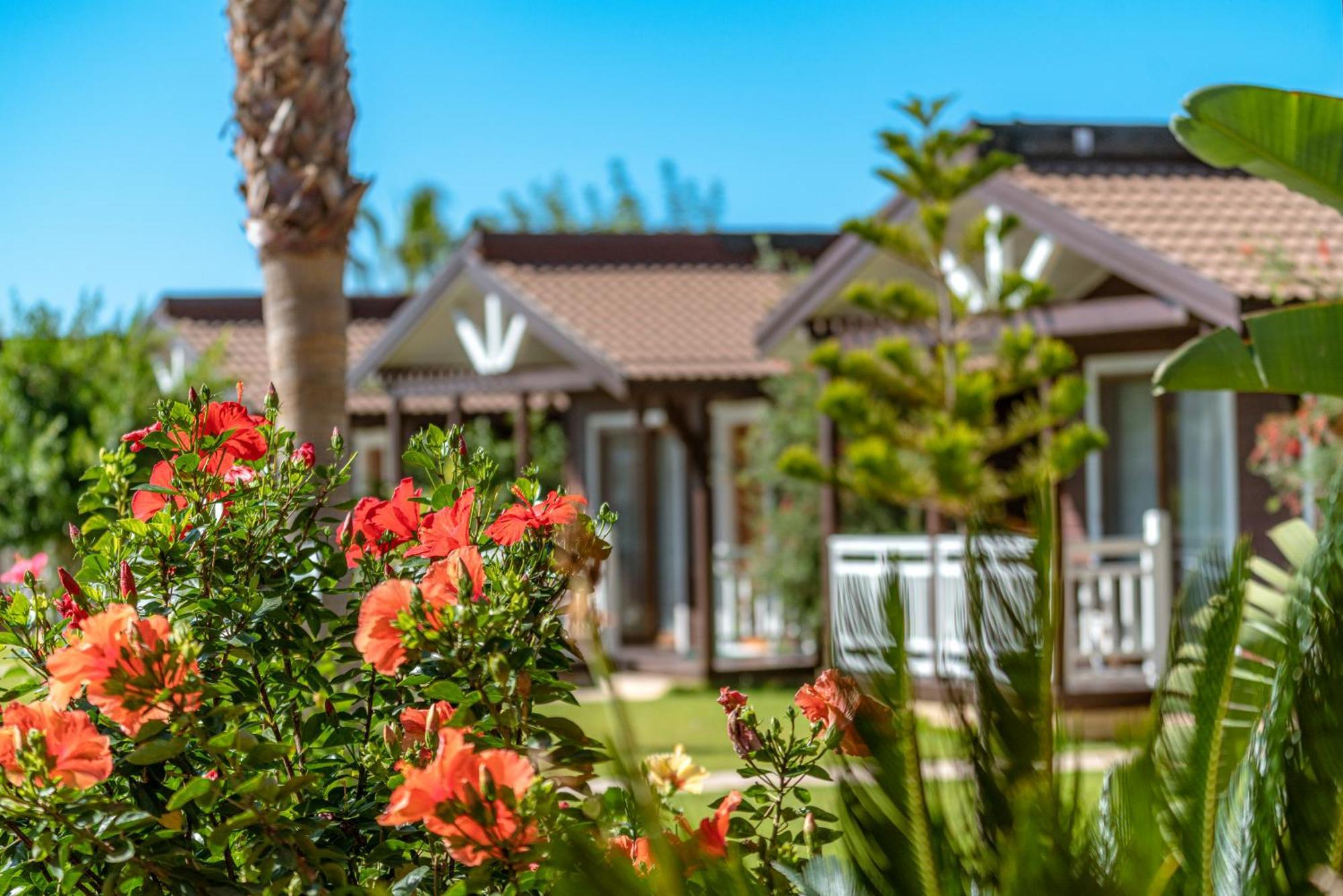 Sedir Park - Beach Bungalow Каргичак Екстер'єр фото